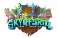Logo SkyOfSkill Logo SkyOfSkill