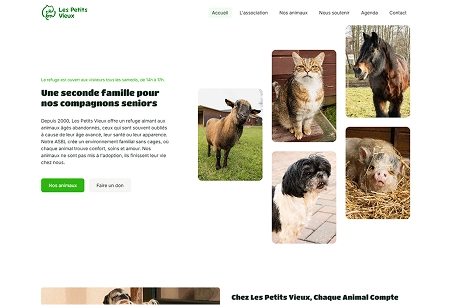 Page d'accueil du site Les Petits Vieux